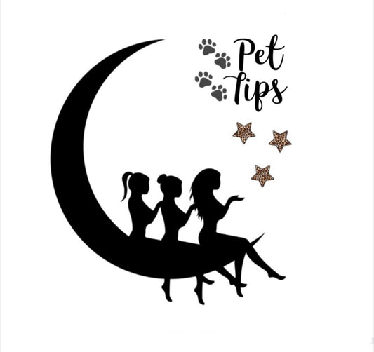 ☾* Pet Tips
